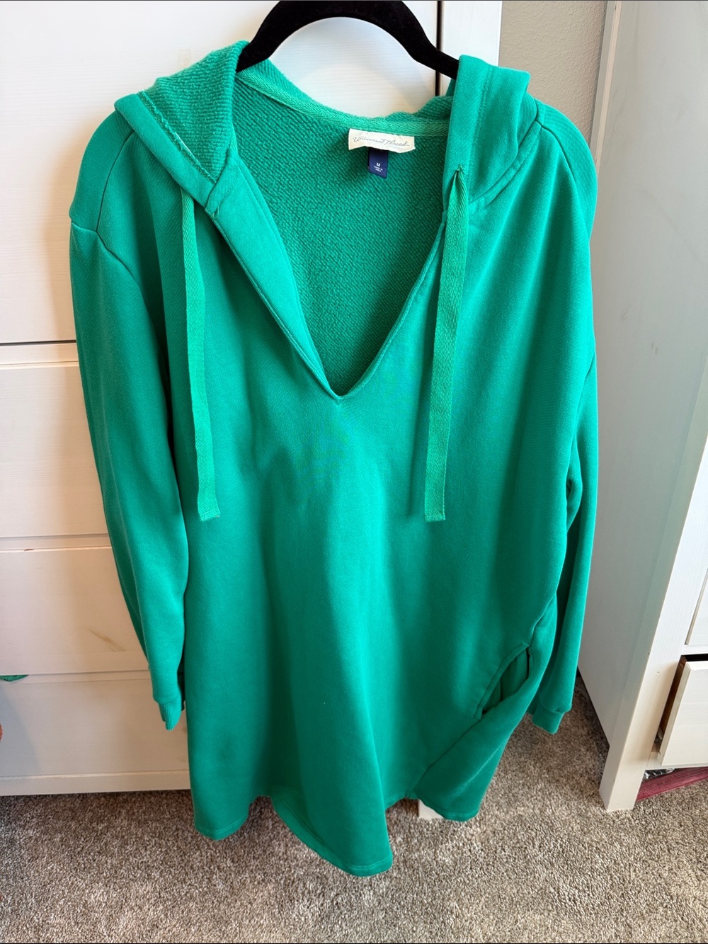 Cozy V-Neck Hoodie Tunic in Teal- never worn!
